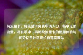 纯流量卡，纯流量卡免费申请入口，畅享无限流量，尽在手中—揭秘纯流量卡的使用体验与优势亿乐社区低价自营货源站