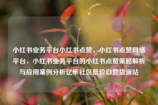 小红书业务平台小红书点赞，小红书点赞网络平台，小红书业务平台的小红书点赞策略解析与应用案例分析亿乐社区低价自营货源站