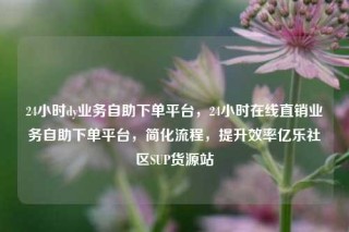 24小时dy业务自助下单平台，24小时在线直销业务自助下单平台，简化流程，提升效率亿乐社区SUP货源站