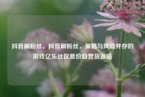 抖音刷粉丝，抖音刷粉丝，策略与风险并存的游戏亿乐社区低价自营货源站