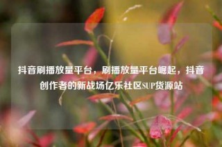 抖音刷播放量平台，刷播放量平台崛起，抖音创作者的新战场亿乐社区SUP货源站
