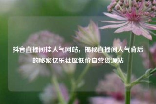 抖音直播间挂人气网站，揭秘直播间人气背后的秘密亿乐社区低价自营货源站
