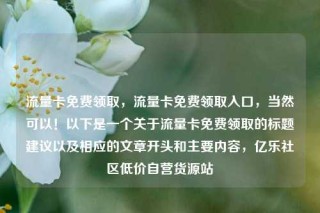流量卡免费领取，流量卡免费领取入口，当然可以！以下是一个关于流量卡免费领取的标题建议以及相应的文章开头和主要内容，亿乐社区低价自营货源站