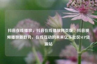 抖音在线播放，抖音在线播放网页版，抖音视频播放新趋势，在线互动的未来亿乐社区SUP货源站