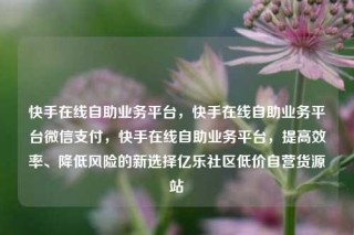 快手在线自助业务平台，快手在线自助业务平台微信支付，快手在线自助业务平台，提高效率、降低风险的新选择亿乐社区低价自营货源站