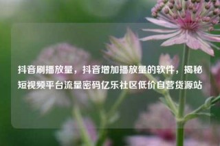 抖音刷播放量，抖音增加播放量的软件，揭秘短视频平台流量密码亿乐社区低价自营货源站