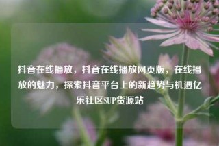 抖音在线播放，抖音在线播放网页版，在线播放的魅力，探索抖音平台上的新趋势与机遇亿乐社区SUP货源站