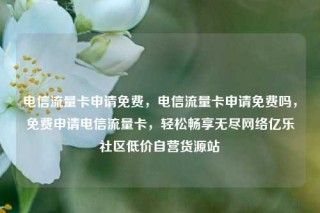 电信流量卡申请免费，电信流量卡申请免费吗，免费申请电信流量卡，轻松畅享无尽网络亿乐社区低价自营货源站