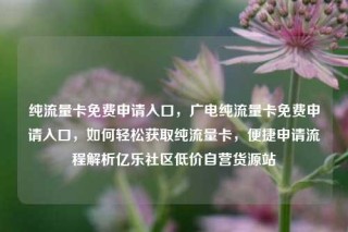 纯流量卡免费申请入口，广电纯流量卡免费申请入口，如何轻松获取纯流量卡，便捷申请流程解析亿乐社区低价自营货源站