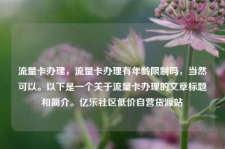 流量卡办理，流量卡办理有年龄限制吗，当然可以。以下是一个关于流量卡办理的文章标题和简介。亿乐社区低价自营货源站