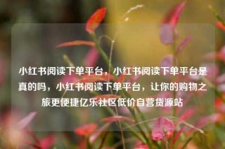 小红书阅读下单平台，小红书阅读下单平台是真的吗，小红书阅读下单平台，让你的购物之旅更便捷亿乐社区低价自营货源站