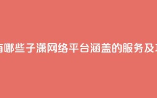 子潇网络平台有哪些 - 子潇网络平台：涵盖的服务及功能一览！