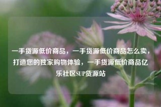 一手货源低价商品，一手货源低价商品怎么卖，打造您的独家购物体验，一手货源低价商品亿乐社区SUP货源站