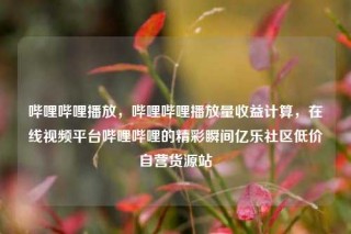 哔哩哔哩播放，哔哩哔哩播放量收益计算，在线视频平台哔哩哔哩的精彩瞬间亿乐社区低价自营货源站