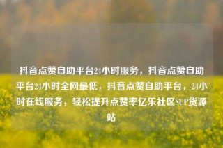 抖音点赞自助平台24小时服务，抖音点赞自助平台24小时全网最低，抖音点赞自助平台，24小时在线服务，轻松提升点赞率亿乐社区SUP货源站