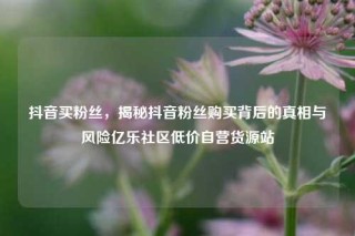 抖音买粉丝，揭秘抖音粉丝购买背后的真相与风险亿乐社区低价自营货源站