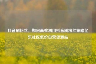 抖音刷粉丝，如何高效利用抖音刷粉丝策略亿乐社区低价自营货源站