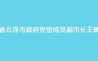 广东省云浮市政府党组成员、副市长王巍被查
