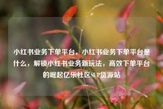 小红书业务下单平台，小红书业务下单平台是什么，解锁小红书业务新玩法，高效下单平台的崛起亿乐社区SUP货源站