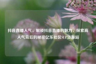 抖音直播人气，解锁抖音直播的魅力，探索高人气背后的秘密亿乐社区SUP货源站