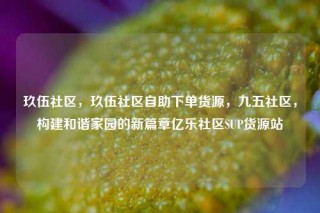 玖伍社区，玖伍社区自助下单货源，九五社区，构建和谐家园的新篇章亿乐社区SUP货源站