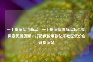 一手货源低价商品，一手货源低价商品怎么卖，探索优质货源，打造低价爆款亿乐社区低价自营货源站