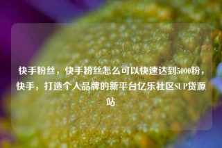 快手粉丝，快手粉丝怎么可以快速达到5000粉，快手，打造个人品牌的新平台亿乐社区SUP货源站