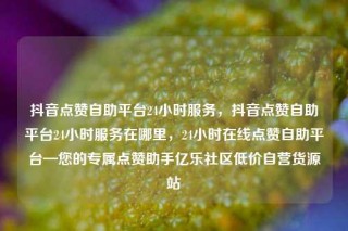 抖音点赞自助平台24小时服务，抖音点赞自助平台24小时服务在哪里，24小时在线点赞自助平台—您的专属点赞助手亿乐社区低价自营货源站
