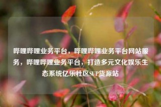 哔哩哔哩业务平台，哔哩哔哩业务平台网站服务，哔哩哔哩业务平台，打造多元文化娱乐生态系统亿乐社区SUP货源站