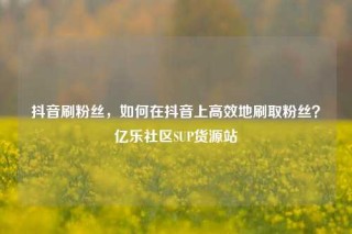 抖音刷粉丝，如何在抖音上高效地刷取粉丝？亿乐社区SUP货源站