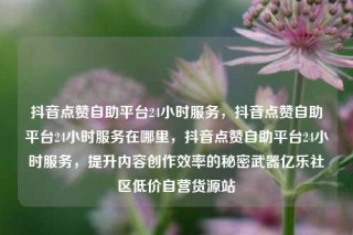 抖音点赞自助平台24小时服务，抖音点赞自助平台24小时服务在哪里，抖音点赞自助平台24小时服务，提升内容创作效率的秘密武器亿乐社区低价自营货源站
