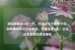 买抖音粉丝10元一万，抖音买十万粉多少钱，如何高效购买抖音粉丝，只需花费10元！亿乐社区低价自营货源站