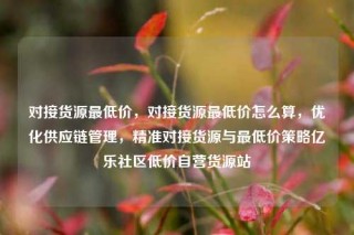 对接货源最低价，对接货源最低价怎么算，优化供应链管理，精准对接货源与最低价策略亿乐社区低价自营货源站