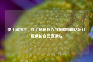 快手刷粉丝，快手刷粉技巧与策略指南亿乐社区低价自营货源站
