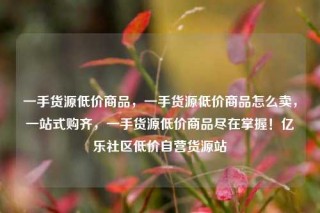 一手货源低价商品，一手货源低价商品怎么卖，一站式购齐，一手货源低价商品尽在掌握！亿乐社区低价自营货源站