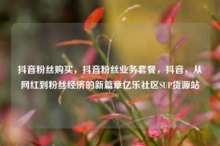 抖音粉丝购买，抖音粉丝业务套餐，抖音，从网红到粉丝经济的新篇章亿乐社区SUP货源站