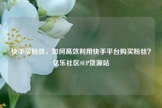 快手买粉丝，如何高效利用快手平台购买粉丝？亿乐社区SUP货源站