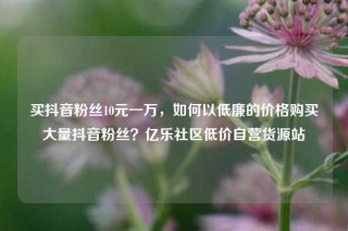 买抖音粉丝10元一万，如何以低廉的价格购买大量抖音粉丝？亿乐社区低价自营货源站