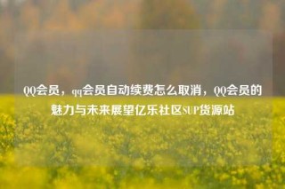 QQ会员，qq会员自动续费怎么取消，QQ会员的魅力与未来展望亿乐社区SUP货源站