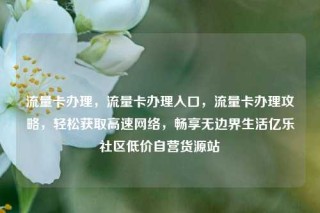 流量卡办理，流量卡办理入口，流量卡办理攻略，轻松获取高速网络，畅享无边界生活亿乐社区低价自营货源站