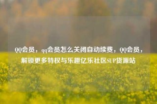 QQ会员，qq会员怎么关闭自动续费，QQ会员，解锁更多特权与乐趣亿乐社区SUP货源站