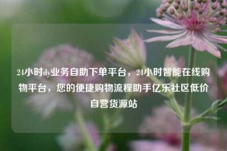 24小时dy业务自助下单平台，24小时智能在线购物平台，您的便捷购物流程助手亿乐社区低价自营货源站