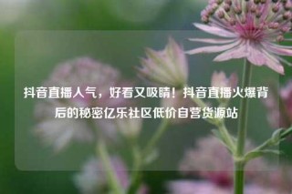 抖音直播人气，好看又吸睛！抖音直播火爆背后的秘密亿乐社区低价自营货源站