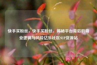 快手买粉丝，快手买粉丝，揭秘平台背后的商业逻辑与风险亿乐社区SUP货源站
