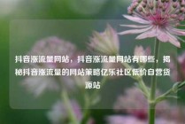 抖音涨流量网站，抖音涨流量网站有哪些，揭秘抖音涨流量的网站策略亿乐社区低价自营货源站