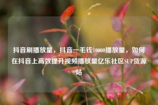 抖音刷播放量，抖音一毛钱10000播放量，如何在抖音上高效提升视频播放量亿乐社区SUP货源站