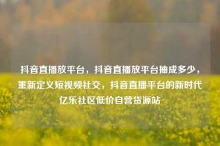 抖音直播放平台，抖音直播放平台抽成多少，重新定义短视频社交，抖音直播平台的新时代亿乐社区低价自营货源站