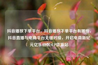 抖音播放下单平台，抖音播放下单平台有哪些，抖音直播与电商平台无缝对接，开启电商新纪元亿乐社区SUP货源站