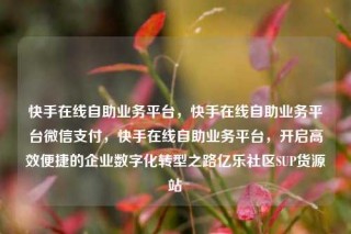 快手在线自助业务平台，快手在线自助业务平台微信支付，快手在线自助业务平台，开启高效便捷的企业数字化转型之路亿乐社区SUP货源站