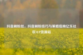 抖音刷粉丝，抖音刷粉技巧与策略指南亿乐社区SUP货源站